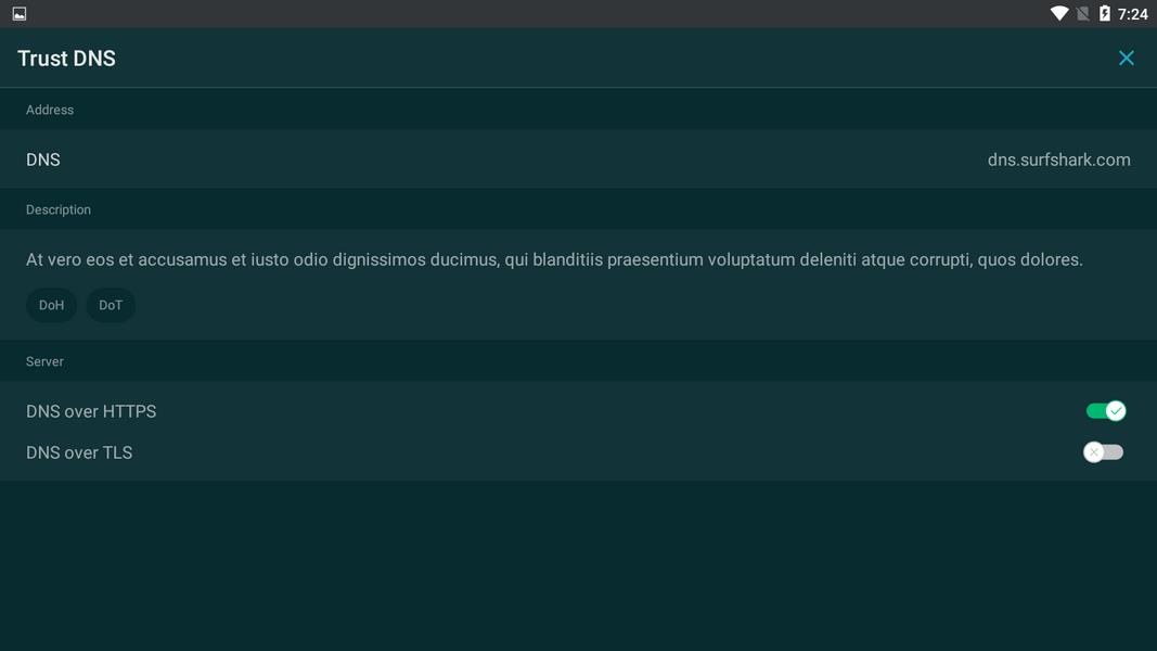 Trust DNS স্ক্রিনশট 3