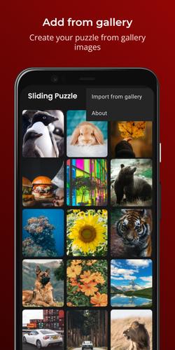 Sliding Puzzle স্ক্রিনশট 3
