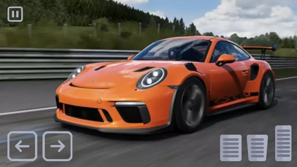 Racing Porsche Carrera 911 GT3 스크린샷 0