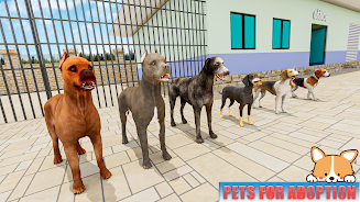 Animal Shelter: Pet World Game應用截圖第1張