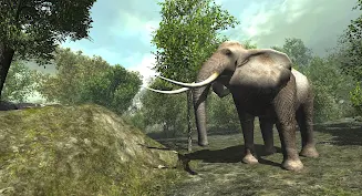 VR ZOO Safari Park Animal Game Tangkapan skrin 3