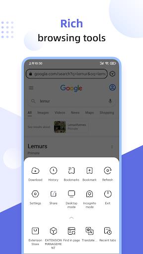 Lemur Browser - extensions ภาพหน้าจอ 3