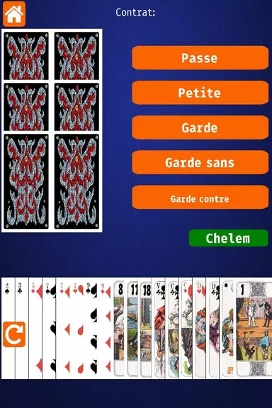 Net.Tarot Screenshot 1