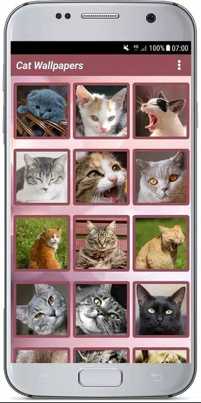 CUTE CAT WALLPAPERS ภาพหน้าจอ 0