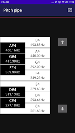 CarlTune - Chromatic Tuner 스크린샷 2