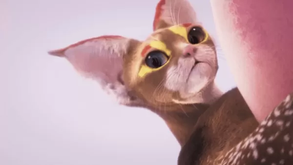 Catly Pre-order and DLC