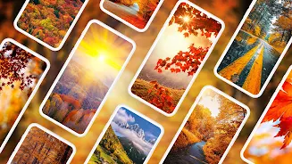 Autumn Wallpapers 4K স্ক্রিনশট 0