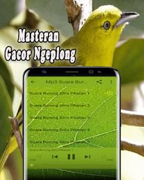 Suara Burung Sirtu Pikat MP3 Offline Скриншот 2