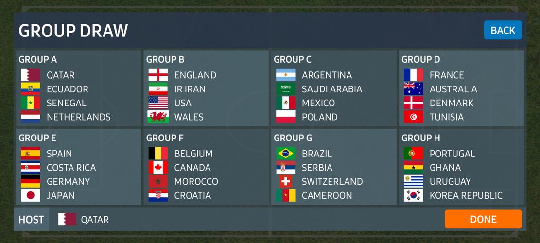 World Football Simulator應用截圖第1張