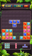 Block Puzzle Jewel Classic Capture d'écran 2