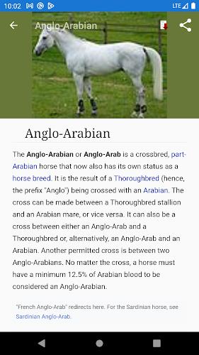 Horse breeds - Photos Tangkapan skrin 1