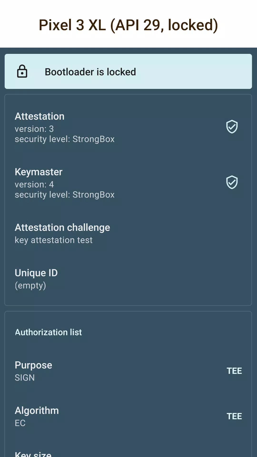 Key Attestation Demo Ekran Görüntüsü 0