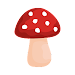 Shroomify - Mushroom Identific