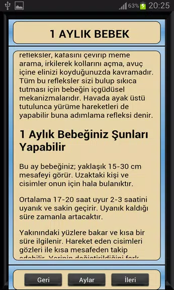 Bebek Gelişimi Ay Ay Detaylı Captura de tela 2