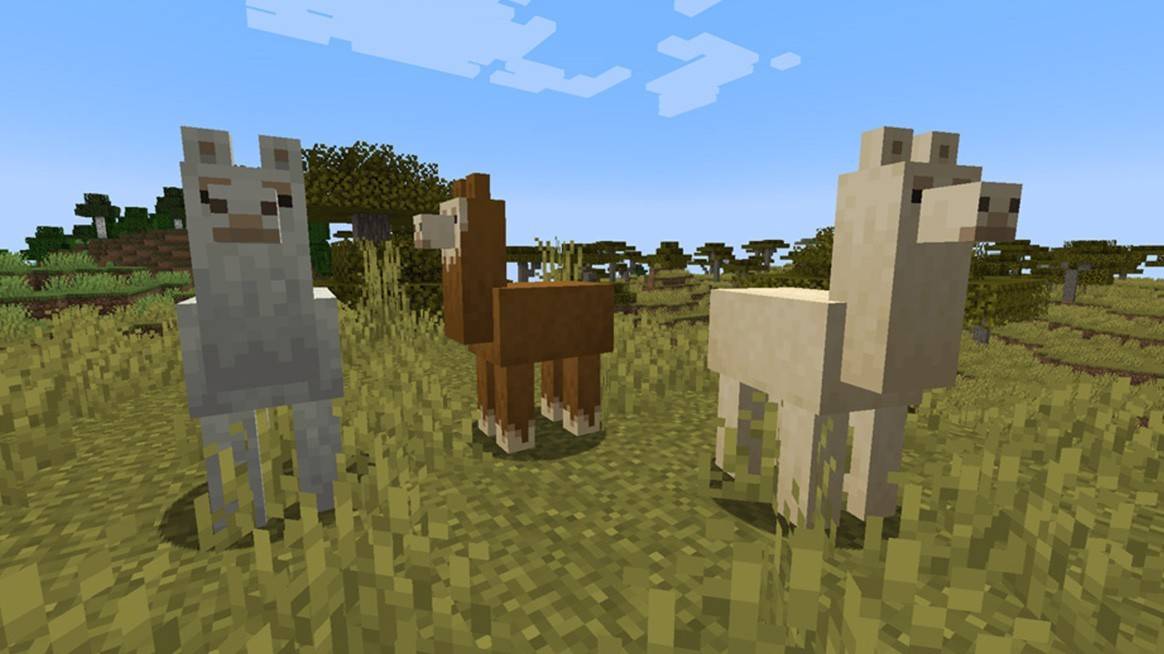 Llamas in Minecraft