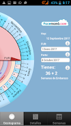 Pregnancy Weeks Calculator ภาพหน้าจอ 0