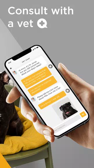 Petcube應用截圖第3張
