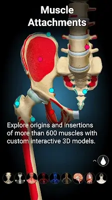 Anatomy Learning - 3D Anatomy स्क्रीनशॉट 3