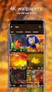 Autumn Wallpapers 4K স্ক্রিনশট 1