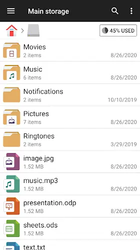 Schermata File Manager 1