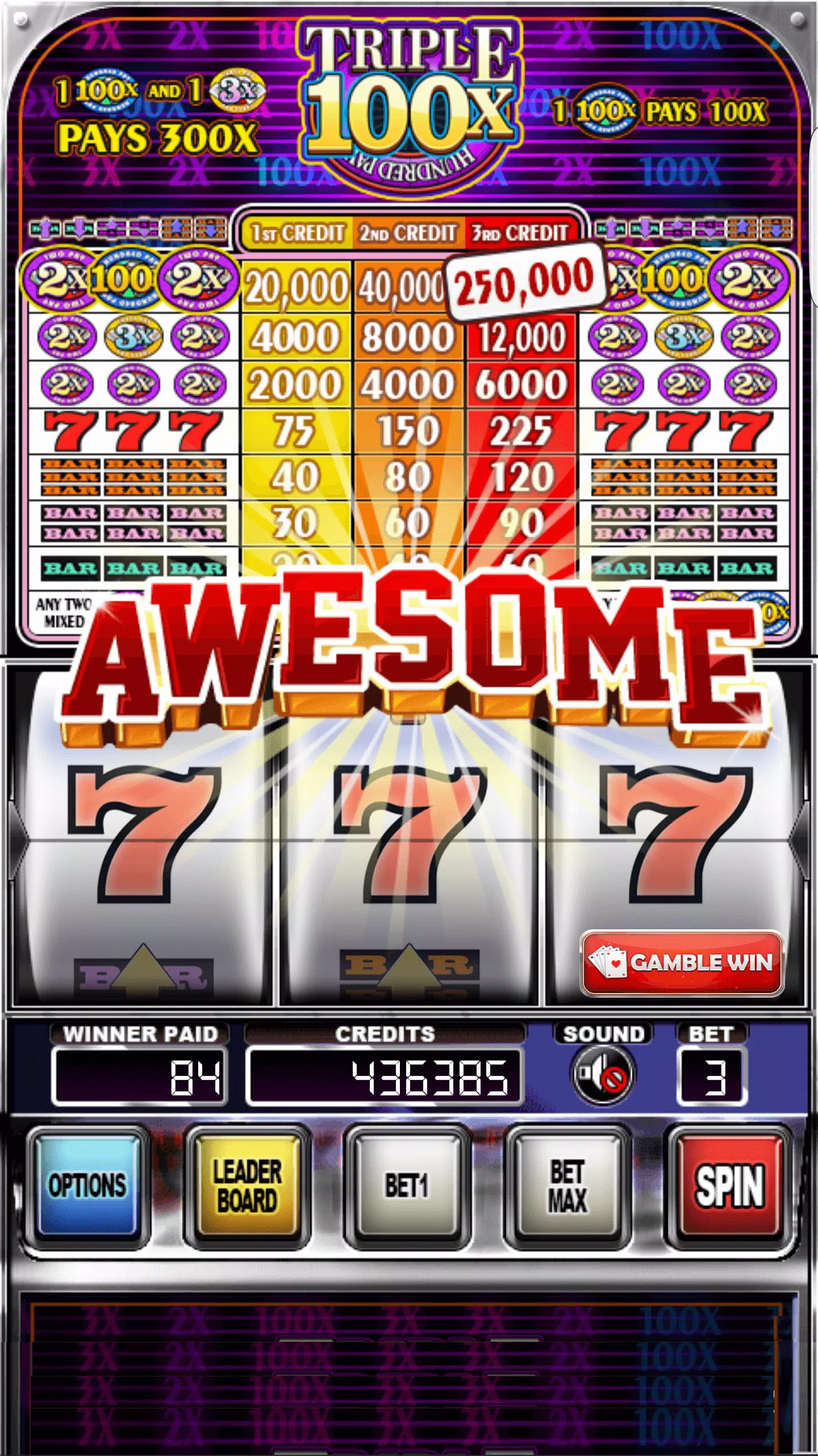 Double Wild Slots Capture d'écran 2