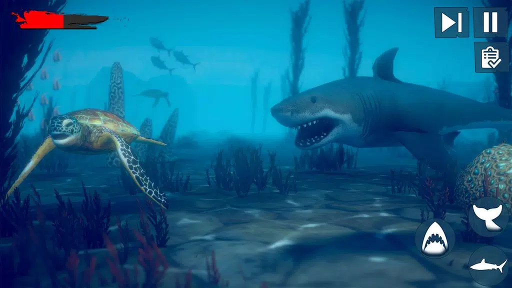 Real Survival Angry Shark Game Captura de tela 3