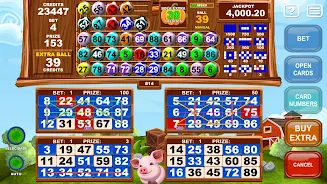 Video Bingo Little Farm スクリーンショット 0