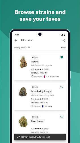 Leafly: Find Cannabis and CBD Captura de tela 3