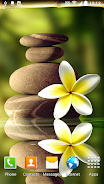 Zen Garden Live Wallpaper Captura de pantalla 1