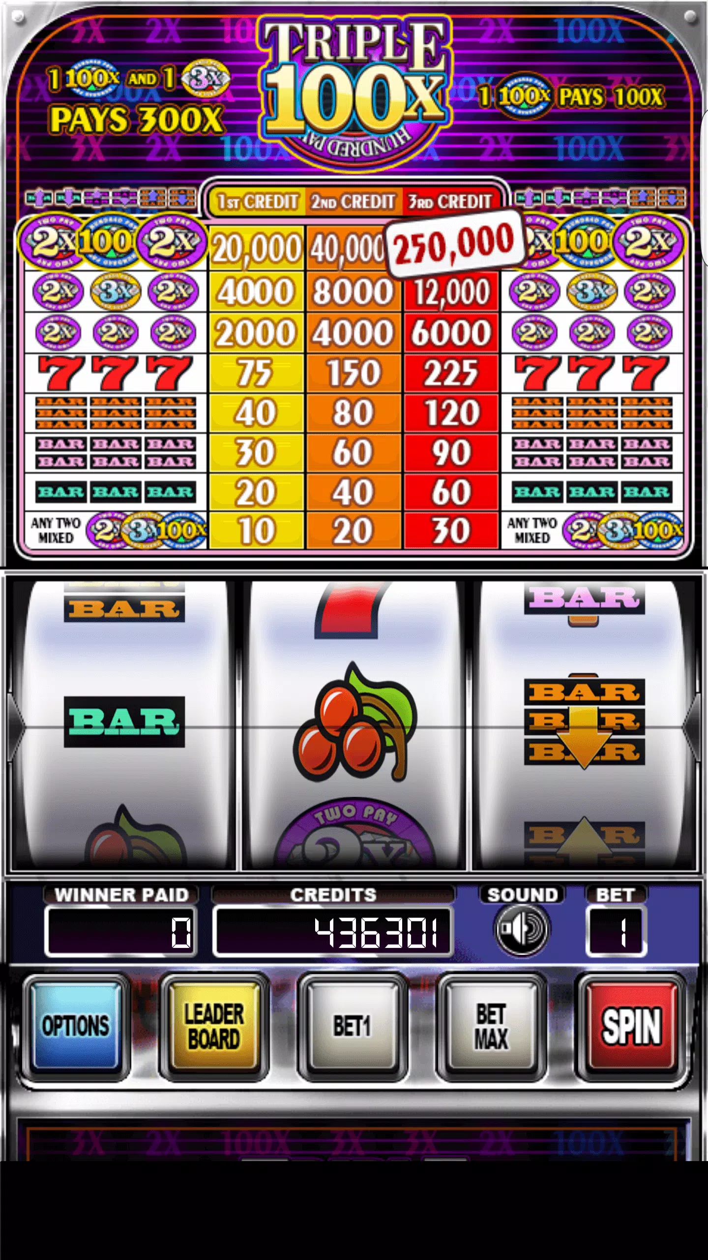 Double Wild Slots Capture d'écran 0