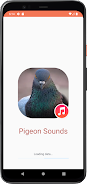 Pigeon Sounds Schermafbeelding 0