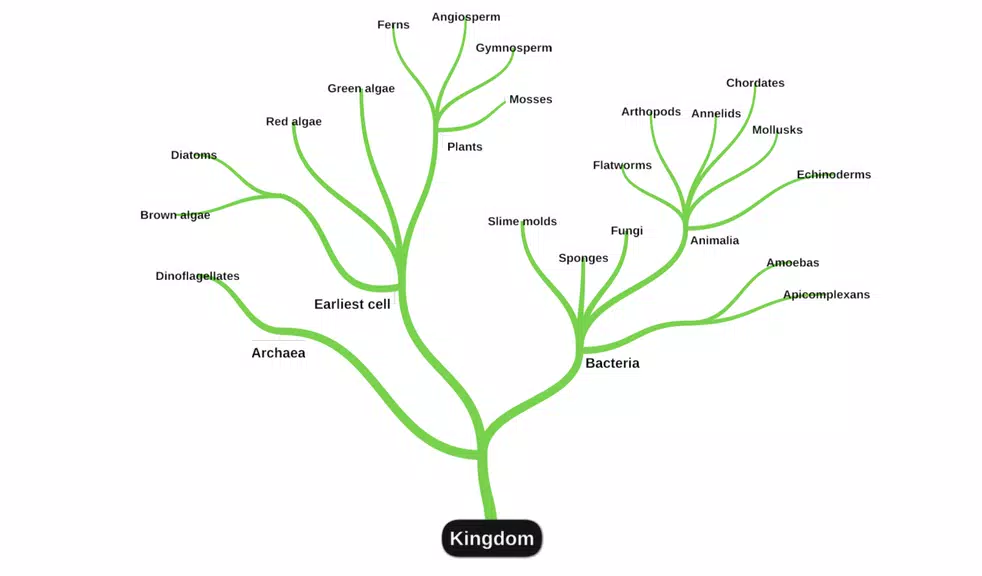 miMind - Easy Mind Mapping Ekran Görüntüsü 1