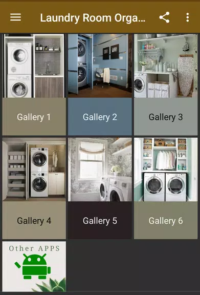 Laundry Room Organization应用截图第0张