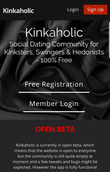 Kinkaholic ภาพหน้าจอ 0