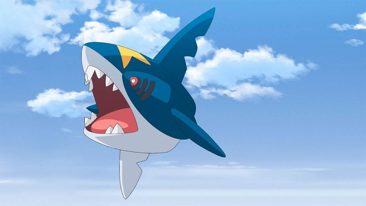 Sharpedo