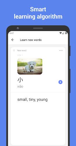 Learn Chinese with flashcards! 스크린샷 0