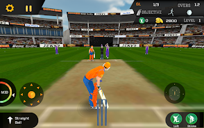 Cricket Unlimited 2017 Captura de pantalla 2