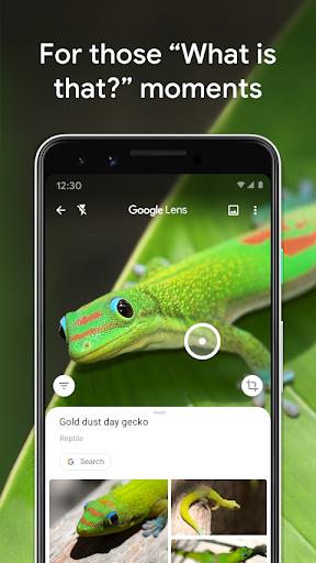 Google Lens स्क्रीनशॉट 0