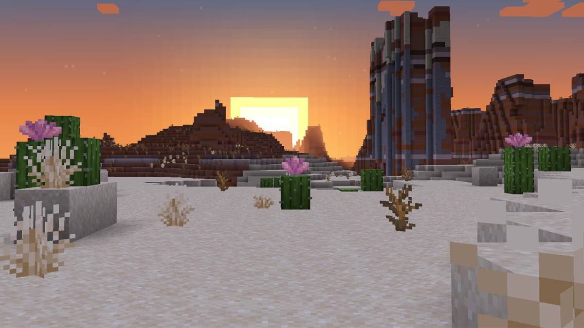 Cactus Flower in Minecraft.