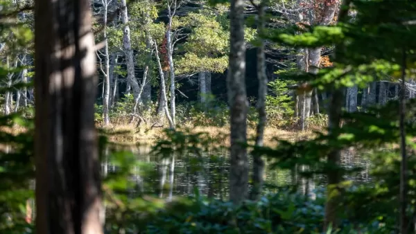 Ghost of Yotei brings Hokkaido to life