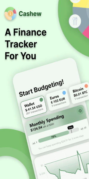 Schermata Cashew—Expense Budget Tracker 1