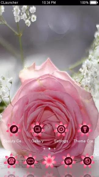 Pretty Pink Rose Theme Captura de tela 2