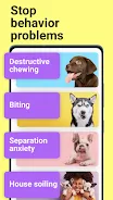 Schermata Dog whistle & training app 3