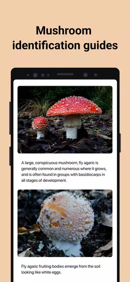 Picture Mushroom - Pilzführer Screenshot 3