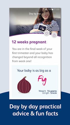 Bounty - Pregnancy & Baby App ภาพหน้าจอ 2