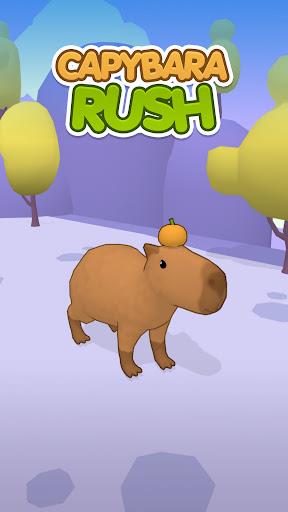 Capybara Rush स्क्रीनशॉट 0
