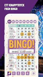 BingoLotto Ảnh chụp màn hình 0