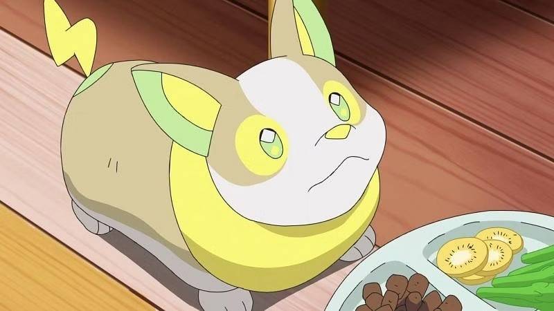 Yamper