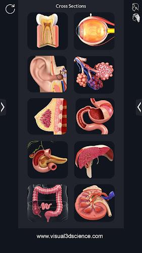 My Organs Anatomy ဖန်သားပြင်ဓာတ်ပုံ 1