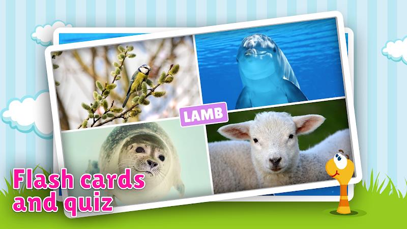 Animal flashcard & sounds Captura de pantalla 1